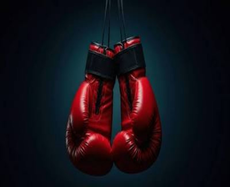 Premium PU Leather Boxing Gloves for Training, Sparring & Professional Combat – Shock-Absorbent Padding, Wrist Support, Breathable Mesh